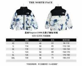 Picture of The North Face Down Jackets _SKUTheNorthFaceXS-XXLrzn419582